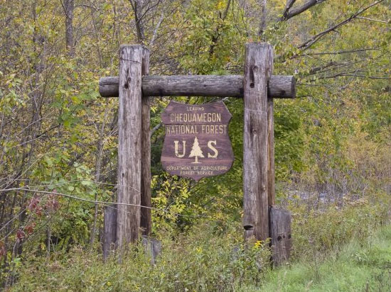 Attractions and Recreation